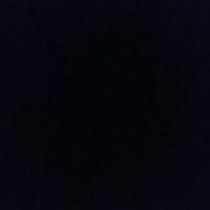 Meet your Posher, Savanna